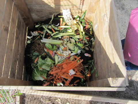 Premiamos os alunos que mais quantidade(kg) de resíduos orgânicos recolheram. Recolhemos aproximadamente 250 kg de resíduos.